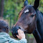 Illustration of How Some Animals Communicate in Ways Humans Are Only Beginning to Understand
