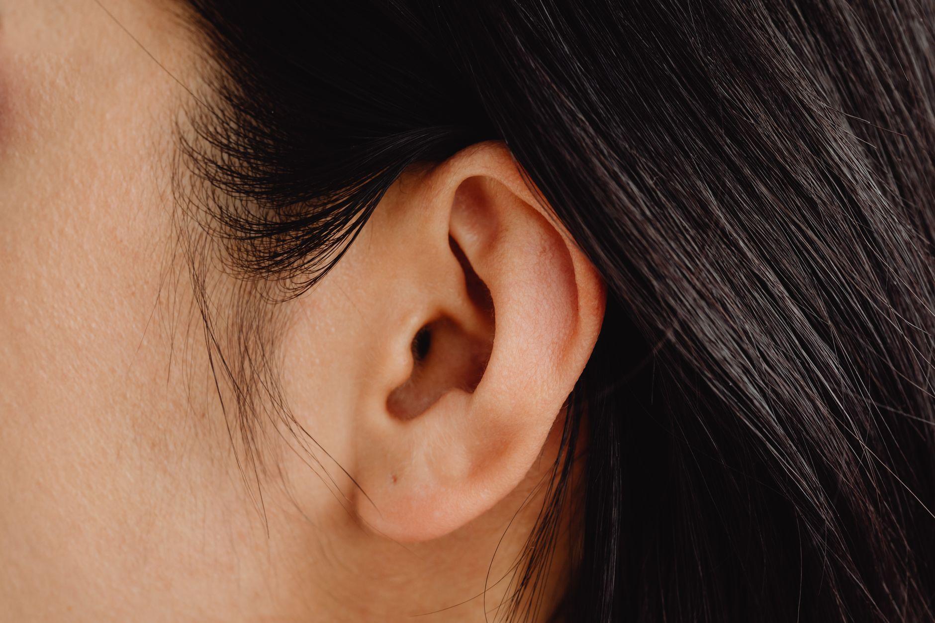 Illustration of Why Certain Sounds Are Universally Unpleasant to the Human Ear