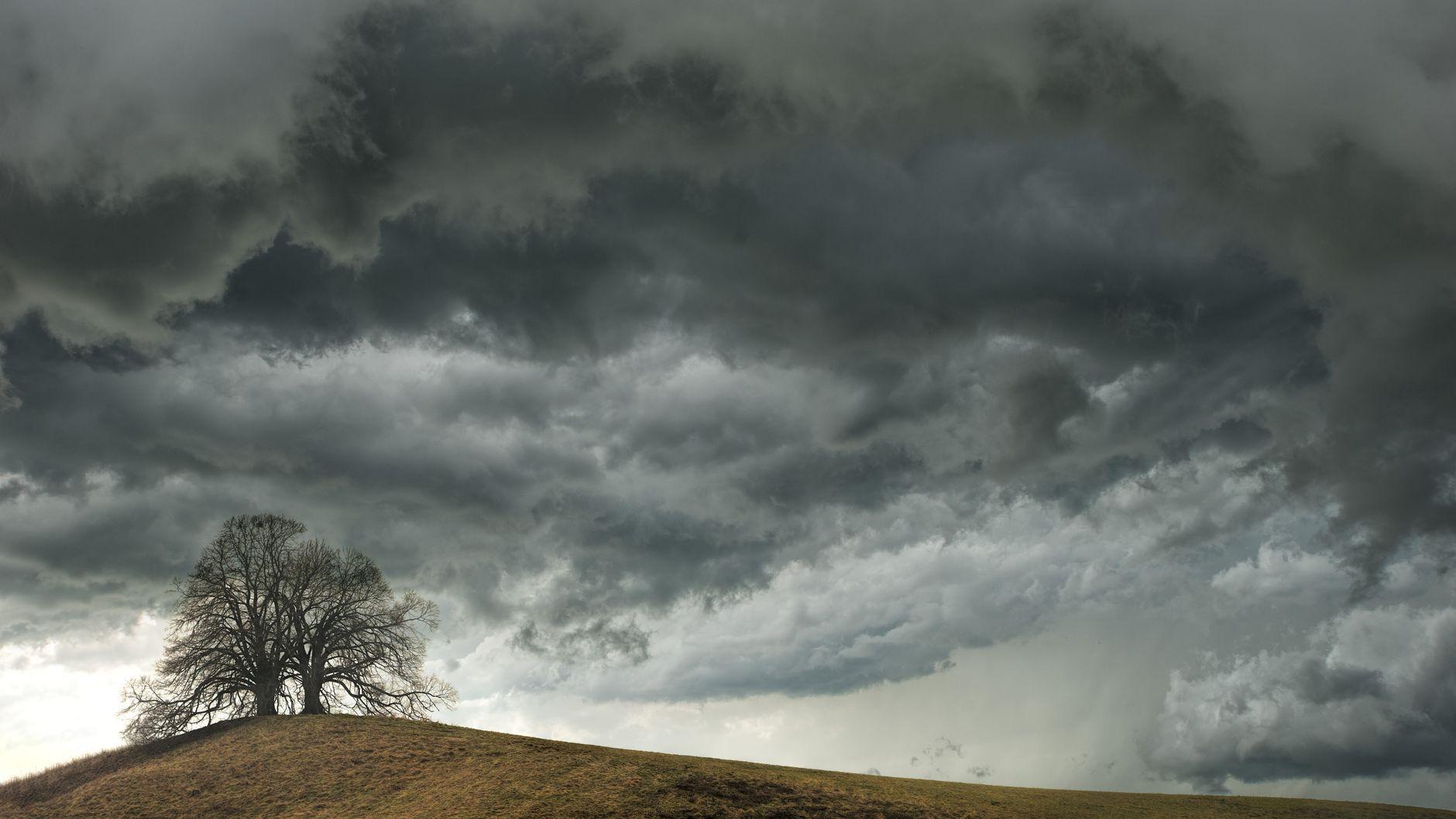 Illustration of Why Some Animals Can Sense Changes in Weather Before Humans Can