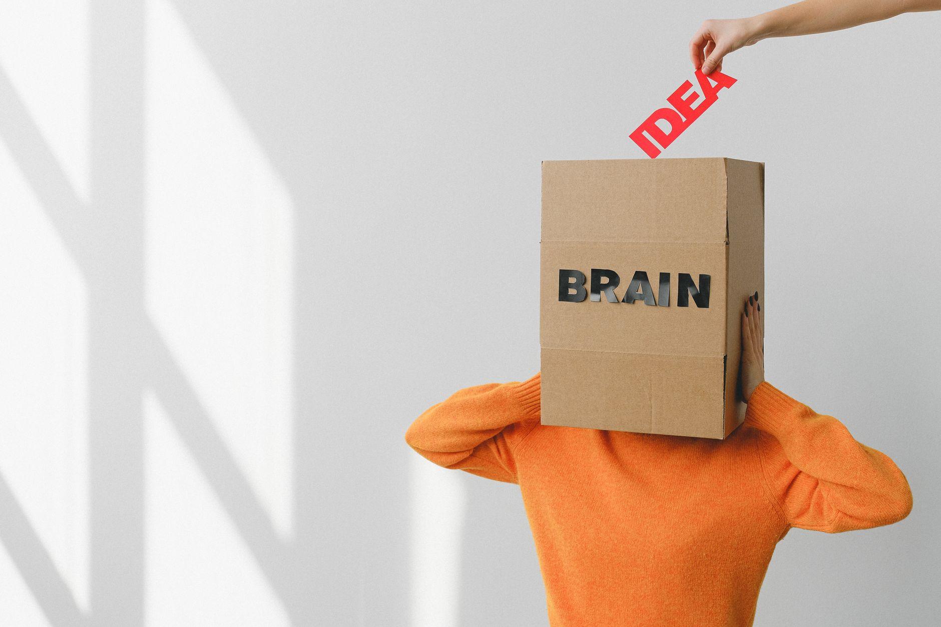 Illustration of Why the Brain Fills in Gaps in Vision Without You Noticing